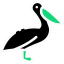 pelican (1)